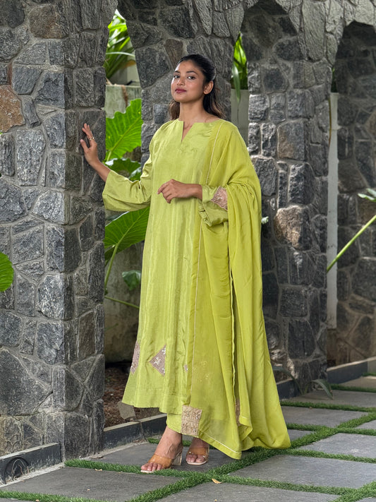 ZU25X245- LIME PANEL HW